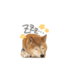 愛犬★だいちくん（個別スタンプ：5）