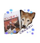 愛犬★だいちくん（個別スタンプ：7）