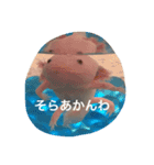ウーパールーパー  佐藤さん 02（個別スタンプ：1）