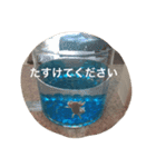 ウーパールーパー  佐藤さん 02（個別スタンプ：13）