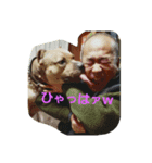 Pit Bull（個別スタンプ：5）