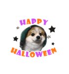 ハロウィン2017（個別スタンプ：2）