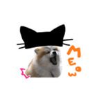 ハロウィン2017（個別スタンプ：3）