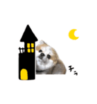 ハロウィン2017（個別スタンプ：5）