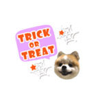 ハロウィン2017（個別スタンプ：6）