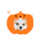 ハロウィン2017（個別スタンプ：7）
