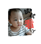 Our DoDo Baby Daily（個別スタンプ：12）