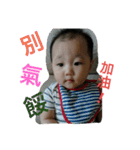 Our DoDo Baby Daily（個別スタンプ：14）