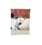 愛犬癒しスタンプ（個別スタンプ：7）