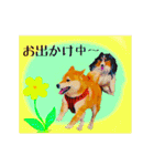 柴犬の楓さん2。（個別スタンプ：23）
