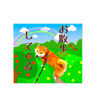 柴犬の楓さん2。（個別スタンプ：26）