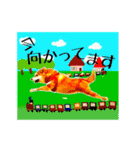 柴犬の楓さん2。（個別スタンプ：33）