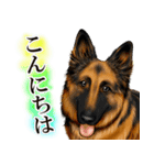 ジャーマンシェパード警察犬 第4弾（個別スタンプ：2）