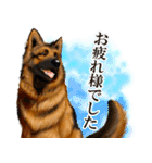 ジャーマンシェパード警察犬 第4弾（個別スタンプ：3）