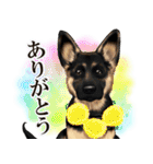 ジャーマンシェパード警察犬 第4弾（個別スタンプ：4）