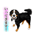 ジャーマンシェパード警察犬 第4弾（個別スタンプ：7）