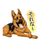 ジャーマンシェパード警察犬 第4弾（個別スタンプ：11）