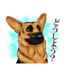 ジャーマンシェパード警察犬 第4弾（個別スタンプ：12）