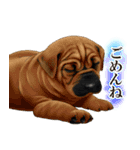 ジャーマンシェパード警察犬 第4弾（個別スタンプ：15）