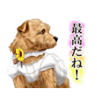 ジャーマンシェパード警察犬 第4弾（個別スタンプ：22）