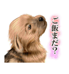 ジャーマンシェパード警察犬 第4弾（個別スタンプ：23）