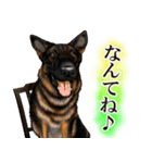 ジャーマンシェパード警察犬 第4弾（個別スタンプ：26）