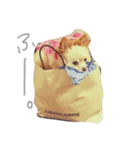 ピピさんスタンプ（個別スタンプ：14）