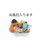 パグのぱぐぞう（個別スタンプ：14）