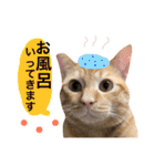 とろさぁもんすたんぷ第二弾（個別スタンプ：1）