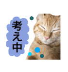 とろさぁもんすたんぷ第二弾（個別スタンプ：3）