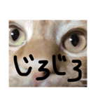 とろさぁもんすたんぷ第二弾（個別スタンプ：7）