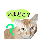 とろさぁもんすたんぷ第二弾（個別スタンプ：8）