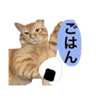 とろさぁもんすたんぷ第二弾（個別スタンプ：9）