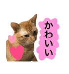 とろさぁもんすたんぷ第二弾（個別スタンプ：15）
