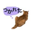 とろさぁもんすたんぷ第二弾（個別スタンプ：16）
