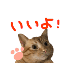 とろさぁもんすたんぷ第二弾（個別スタンプ：17）