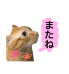 とろさぁもんすたんぷ第二弾（個別スタンプ：19）