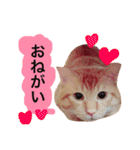 とろさぁもんすたんぷ第二弾（個別スタンプ：20）