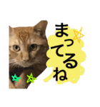 とろさぁもんすたんぷ第二弾（個別スタンプ：22）