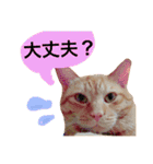 とろさぁもんすたんぷ第二弾（個別スタンプ：23）
