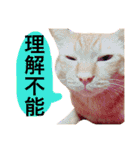 とろさぁもんすたんぷ第二弾（個別スタンプ：25）