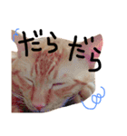 とろさぁもんすたんぷ第二弾（個別スタンプ：27）