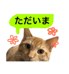 とろさぁもんすたんぷ第二弾（個別スタンプ：30）