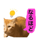 とろさぁもんすたんぷ第二弾（個別スタンプ：32）