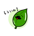 茶葉じ～（個別スタンプ：1）