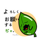 茶葉じ～（個別スタンプ：9）