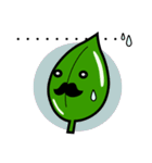 茶葉じ～（個別スタンプ：13）
