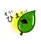 茶葉じ～（個別スタンプ：14）