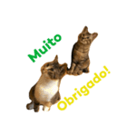 Japanese cats family（個別スタンプ：8）