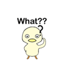 Hey！ Duck！（個別スタンプ：13）